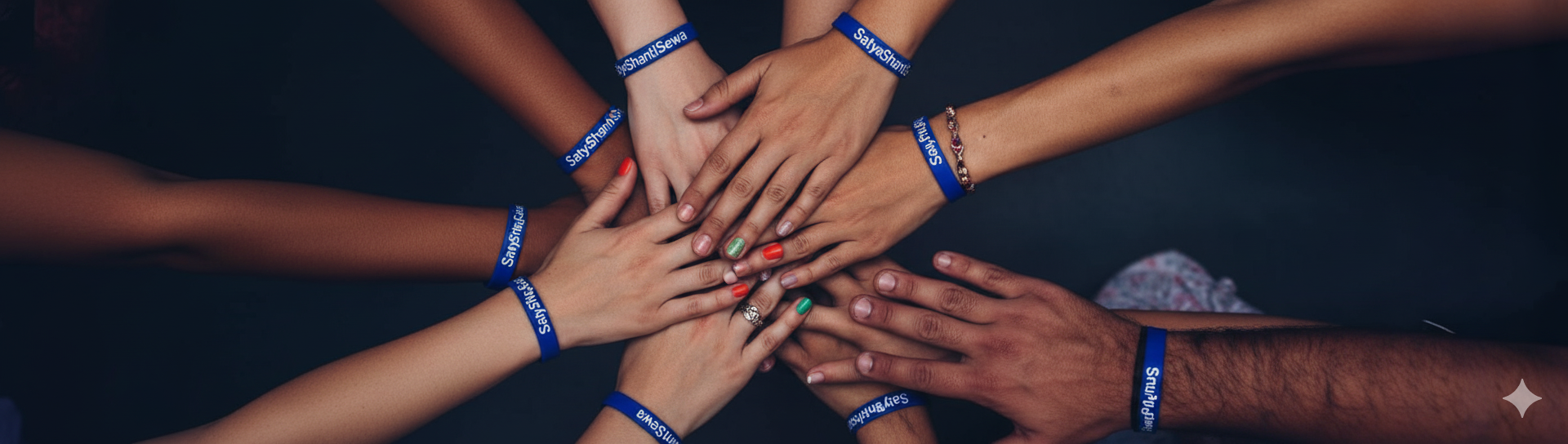 Our Executive Team Background